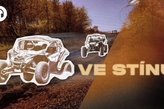 Motorové pily v ptačí rezervaci. Kácelo se kvůli autokrosu, zákaz přišel pozdě - Seznam Zprávy